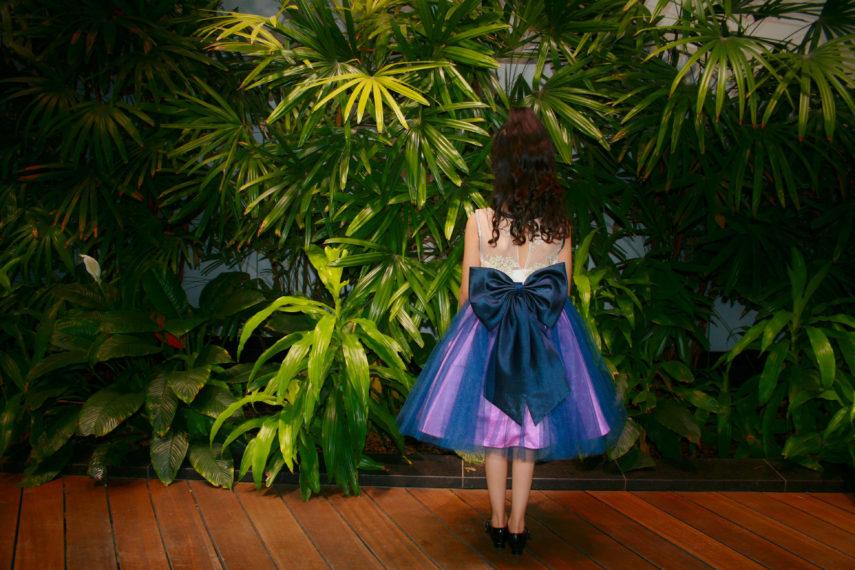 VERONA DRESS